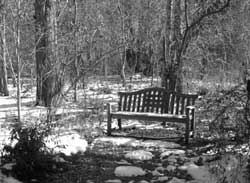 Meditation Garden in Winter