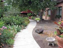 Back Porch Garden