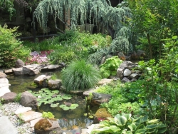 Atrium Garden