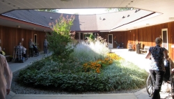 Courtyard Garden