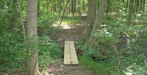 Plank Bridge in Barton Arboretum