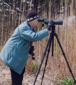 Birder