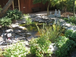 Courtyard Garden