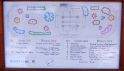 Courtyard map