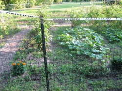 Community Garden