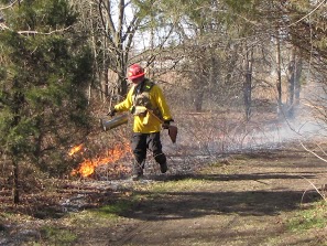 Burning the meadow