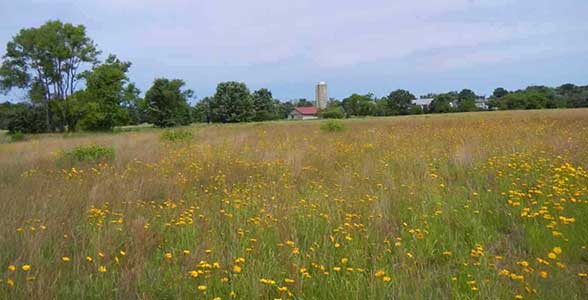 Meadow and silo