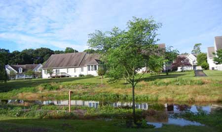 Lumberton meadow after a heavy rain