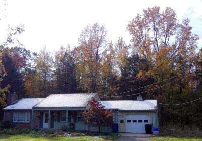 Sweetgum Stand