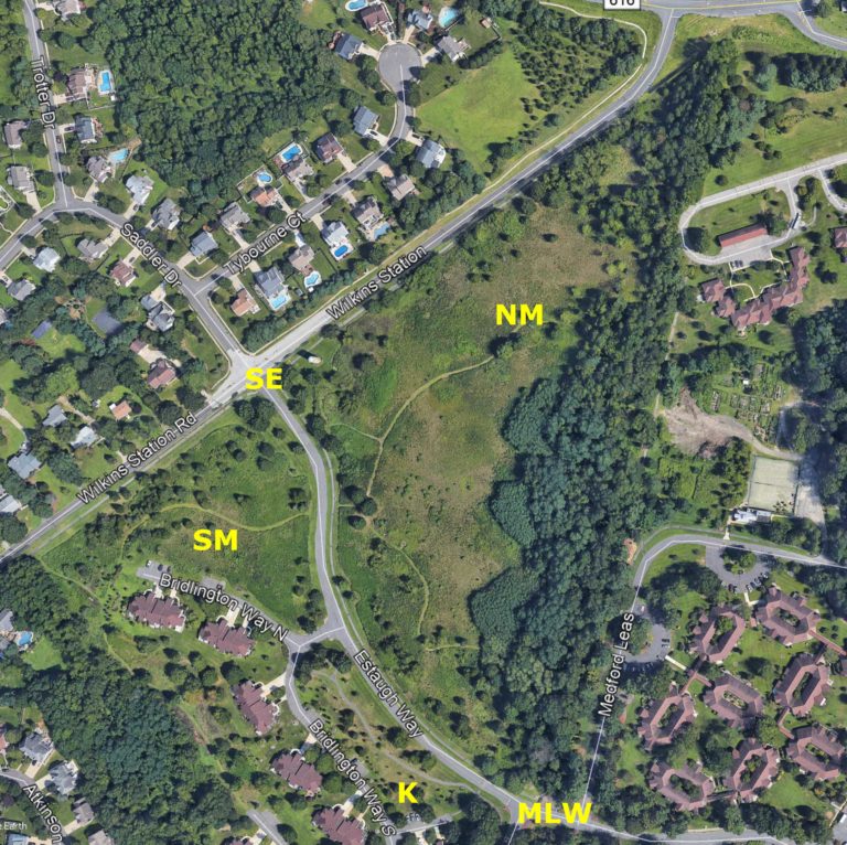 Google Earth view of Medford Meadow