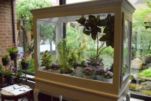 Terrarium