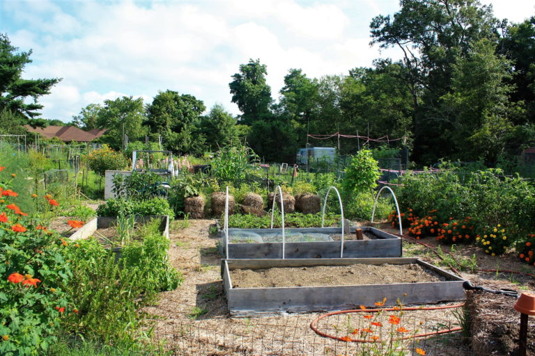 Forrest Nature Center gardens