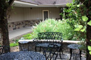 Courtyard 10 garden - buddleia