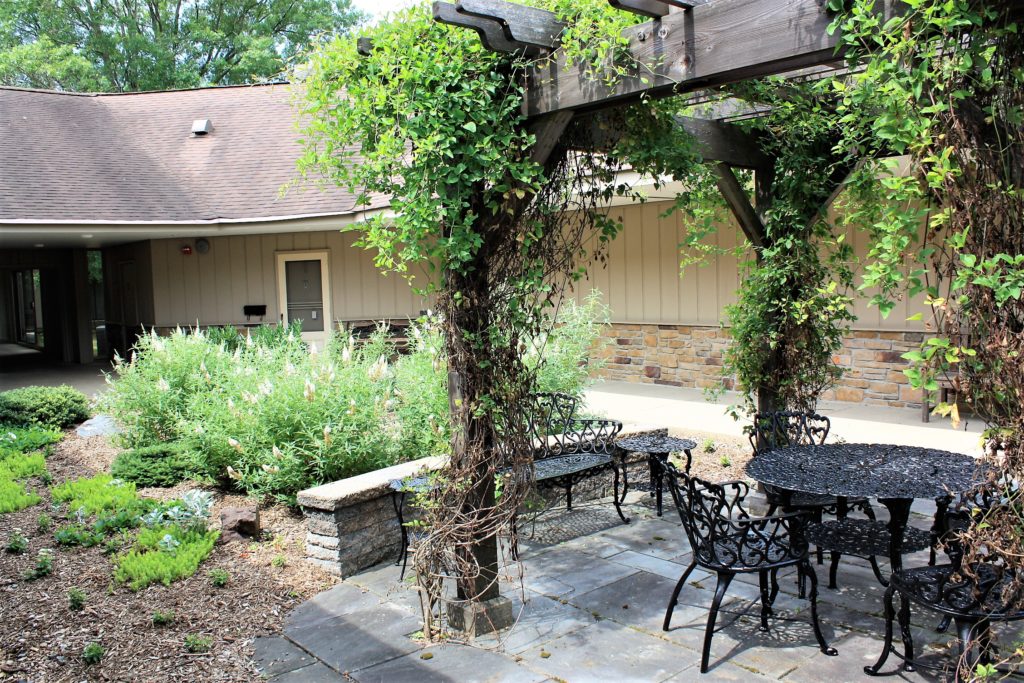 Courtyard 10 garden - bower