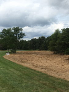 Medford meadow restoration