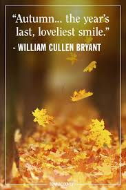 Autumn Book cover