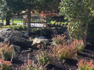 Ober's Pond