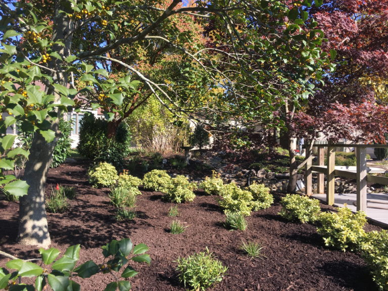 Ober's Pond