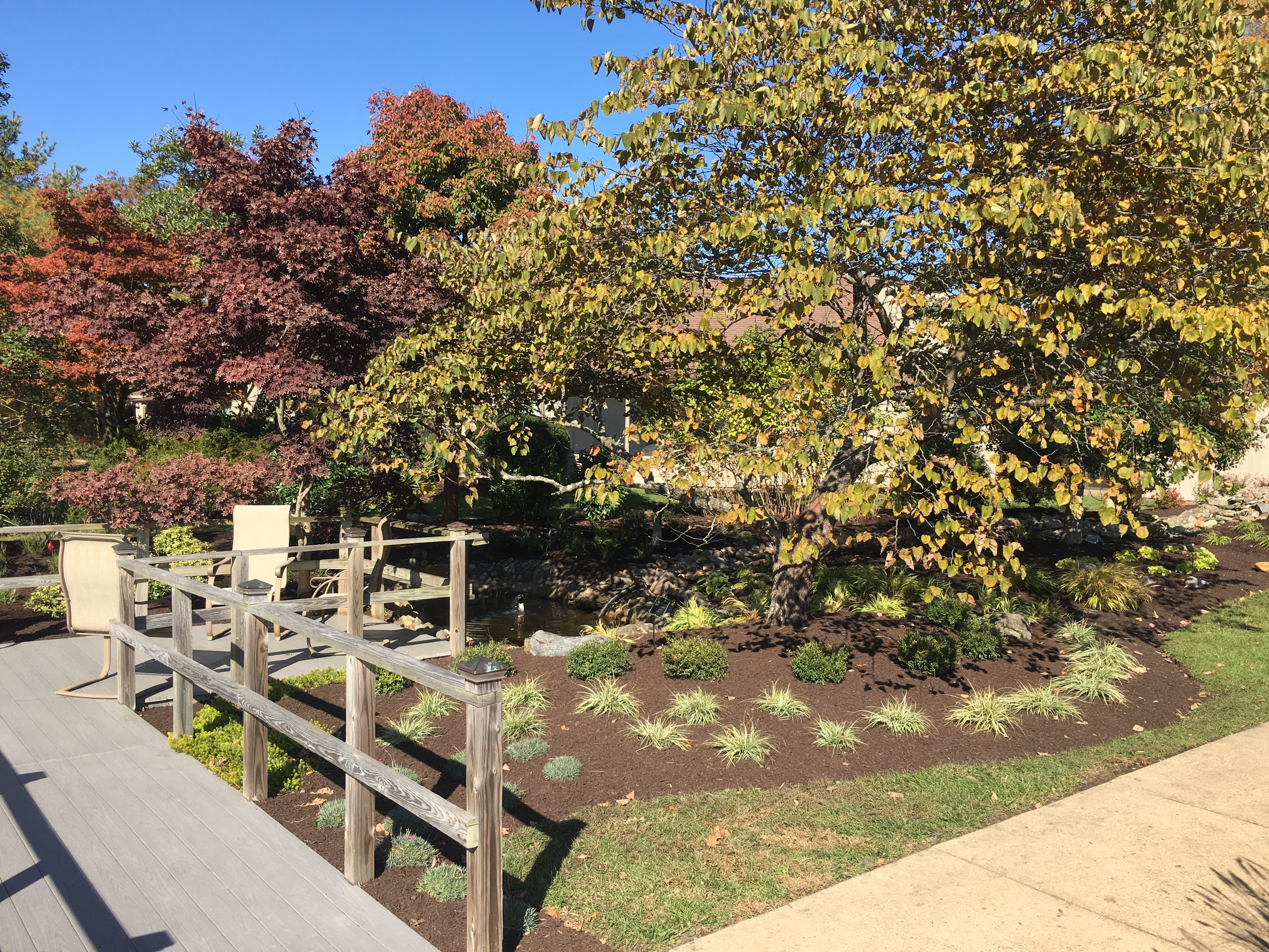 Ober's Pond