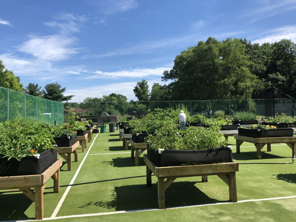 Raised gardens at Medford Leas