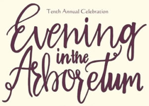 Evening in the Arboretum