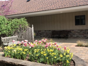 April Flowers