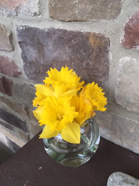 Daffodil bouquet