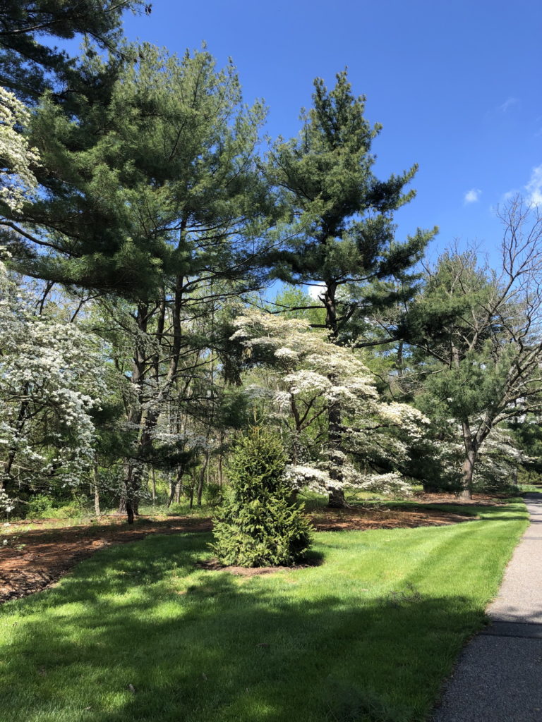 January 17, 2022 – Winter Trees – Barton Arboretum and Nature Preserve