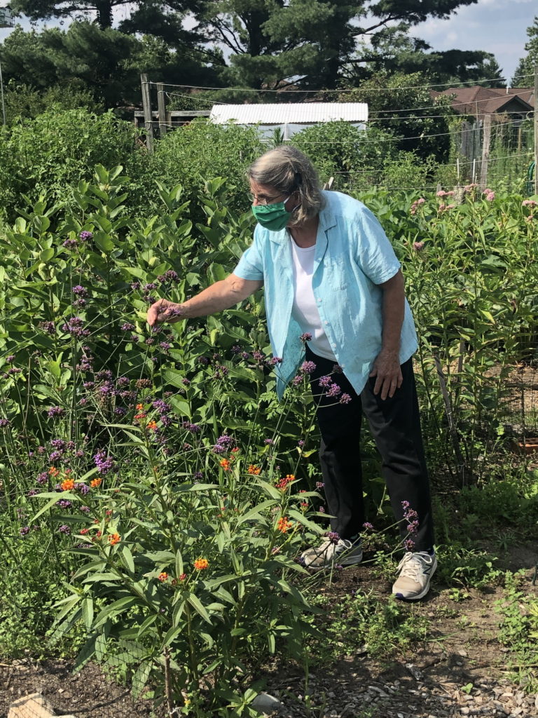 Medford Farm - flowers