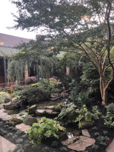 Atrium Garden