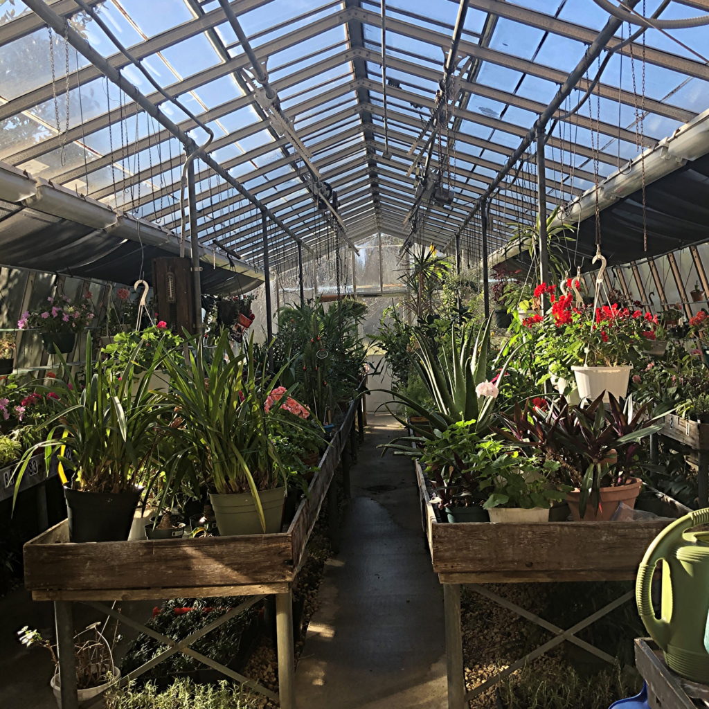 Greenhouse