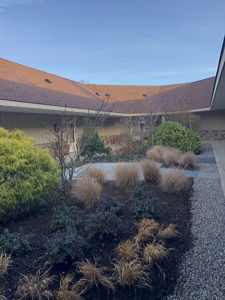 Court 6 garden