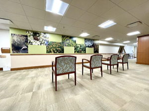 Wellness Center Mural