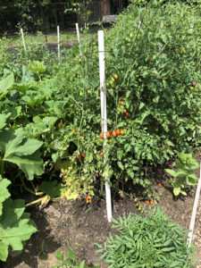 LumbertonCampusFarm