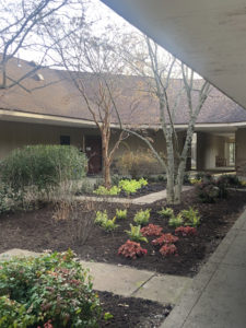 Court 66 Dec 2021