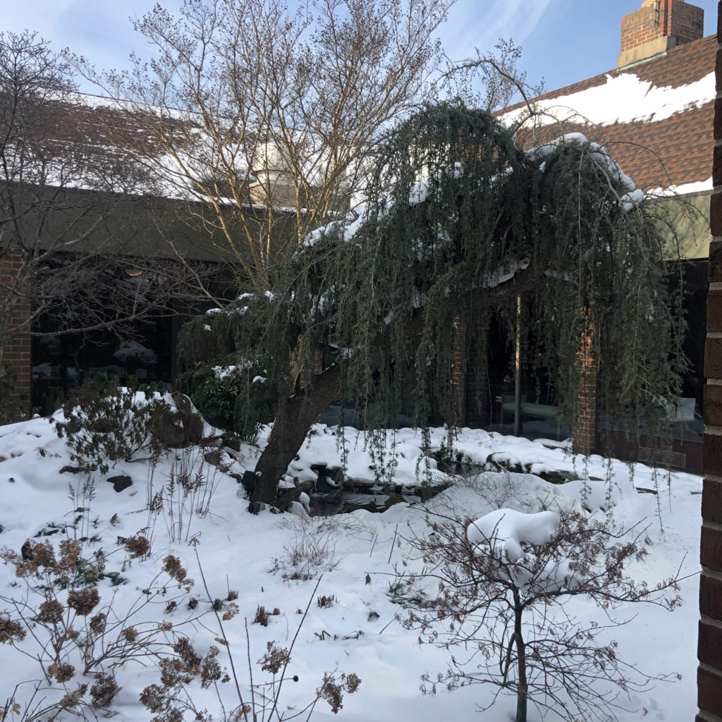 Snow in courtyard