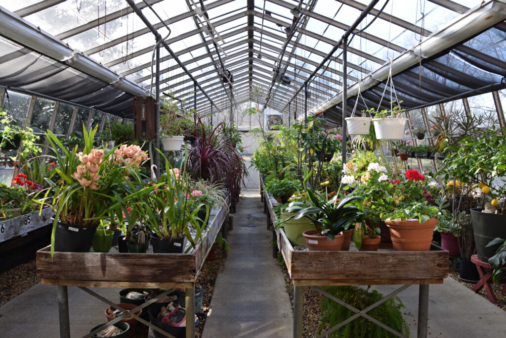 Haddon Greenhouse