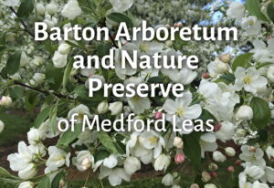 Barton Arboretum Webpage Logo