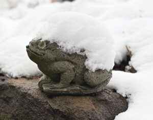 Stone Frog in snow