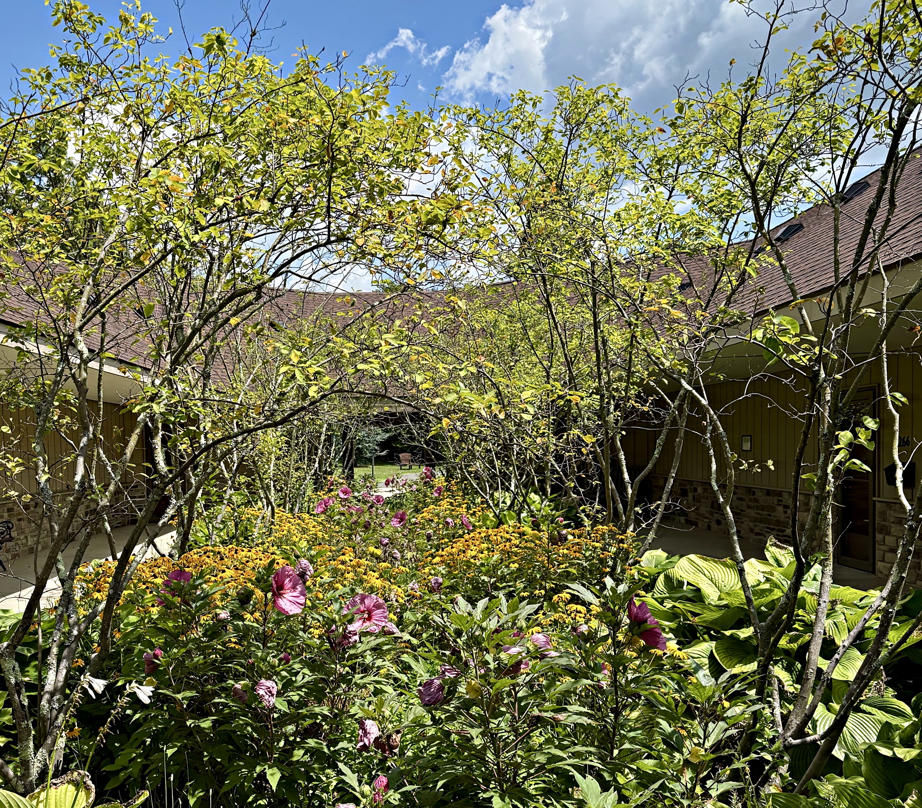 Court 26 at Medford Leas