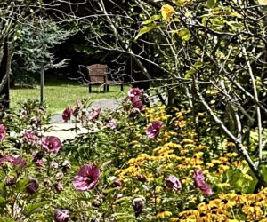 Court 26 at Medford Leas