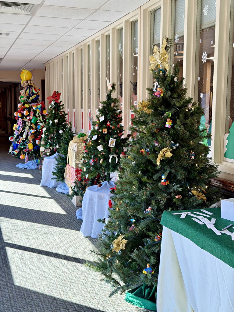 Christmas Decorations 2025