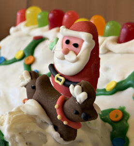 Christmas Decorations 2025