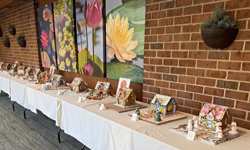 Christmas Decorations 2025