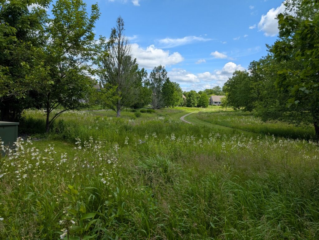 Lumberton campus meadow