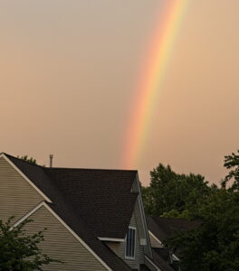 Lumberton Rainbow
