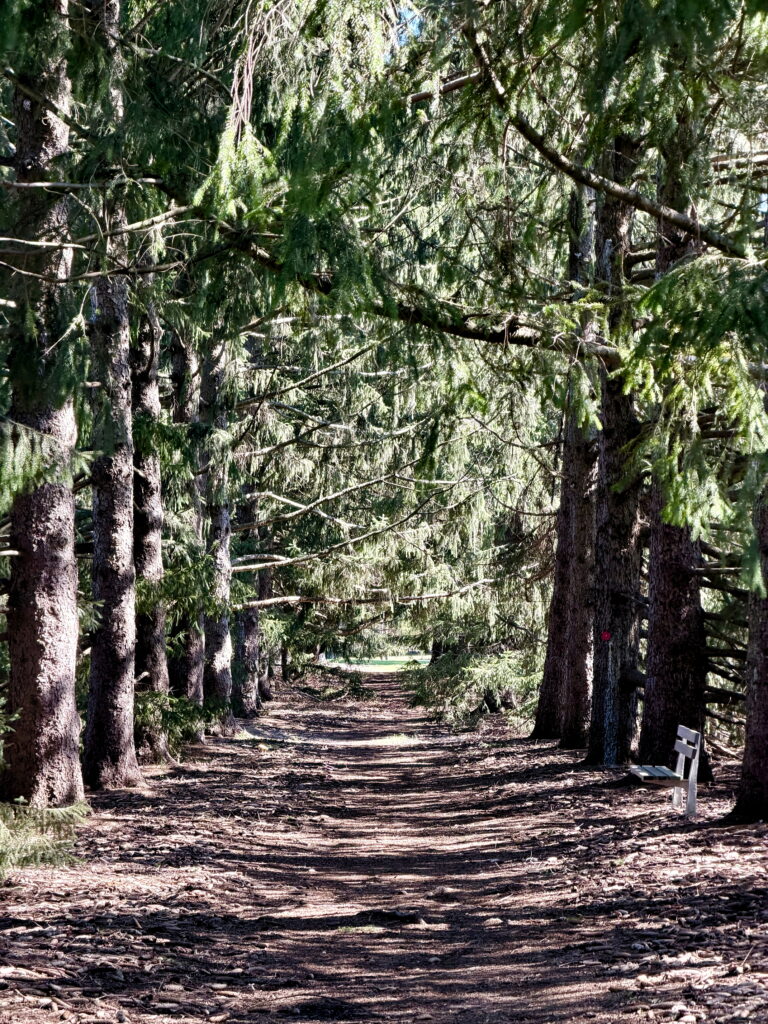 Cathedral Trail