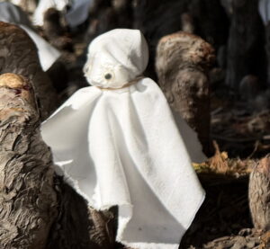 Cypress Knee Ghosts